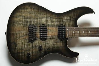 FUTURA-S HH LTD / Alder Back Spalted Maple Top Body - Transparent Black